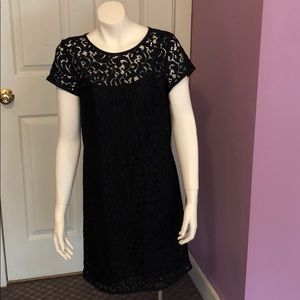 Loft Lace Dress